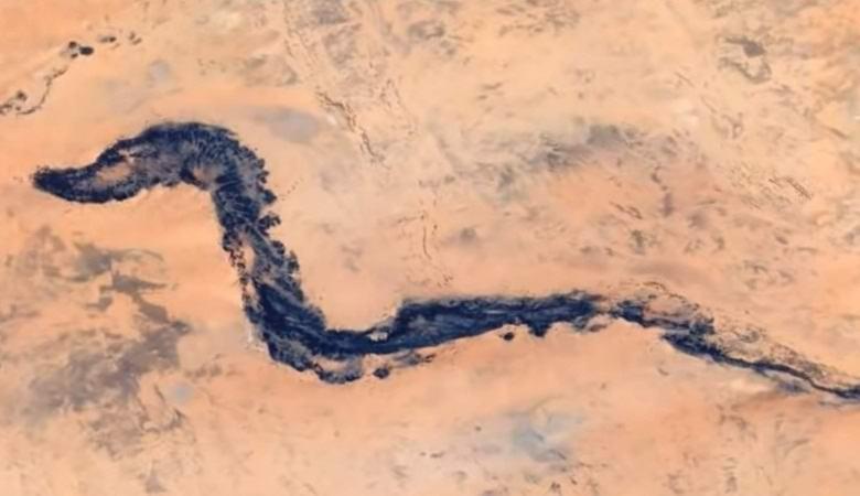 «Окаменевшего дракона» нашли на спутниковых фото Мавритании