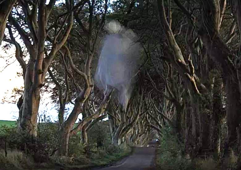 Знаменитую Серую Леди сфотографировали на «кривой» ирландской аллее