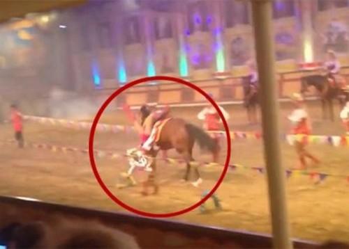 Во Франции лошадь ворвалась в бар, расположенный рядом с ипподромом…