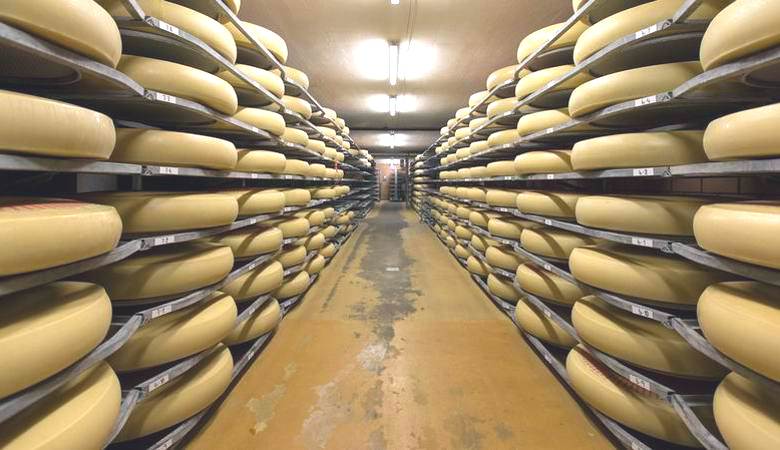 Швейцарские сыровары уверены, что музыка улучшает вкус сыра