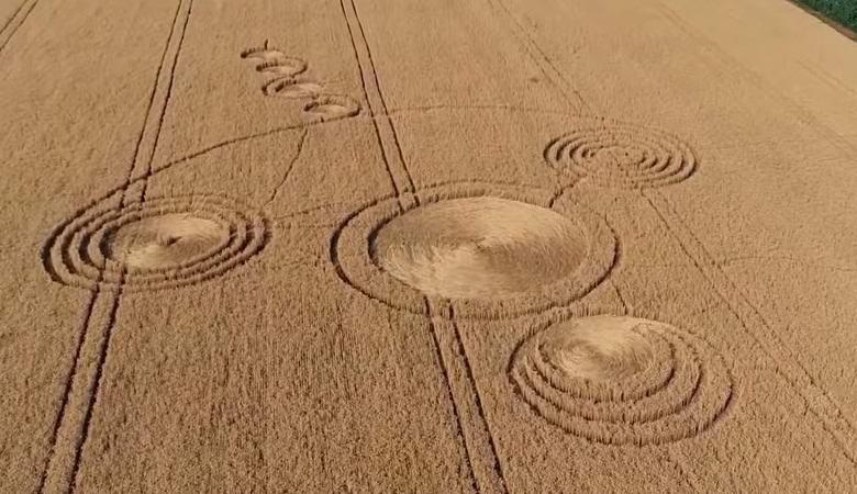 В Краснодарском крае неожиданно зацвели загадочные круги на поле