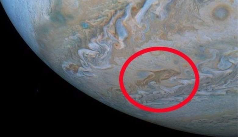 На Юпитере заметили гигантского «дельфина»