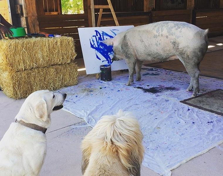 Животные – художники-экспрессионисты