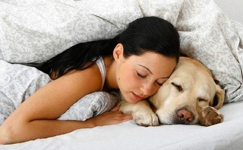 Собака поможет вам спать спокойно