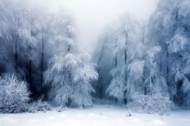 Сны о зиме - к чему снятся сугробы, снежки, вьюга