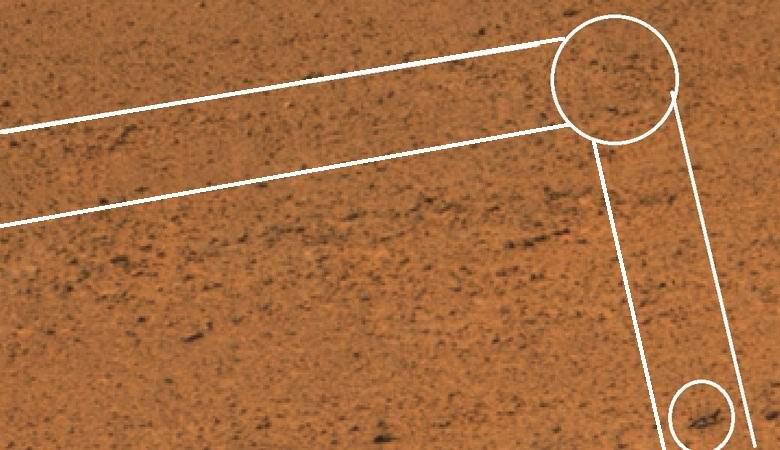 На Марсе обнаружили ползущего инсектоида