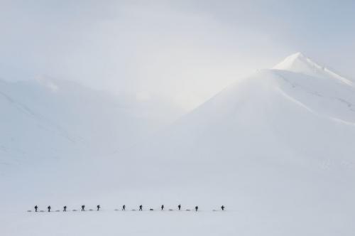 Военные Пентагона ищут экспедицию, отправившуюся изучать необычные пирамиды Антарктиды