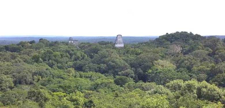 Археологи с помощью лидара сделали удивительное открытие относительно цивилизации майя