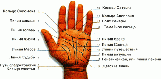 Хирология и хиромантия для начинающих — узнайте, как расшифровывать знаки на руках