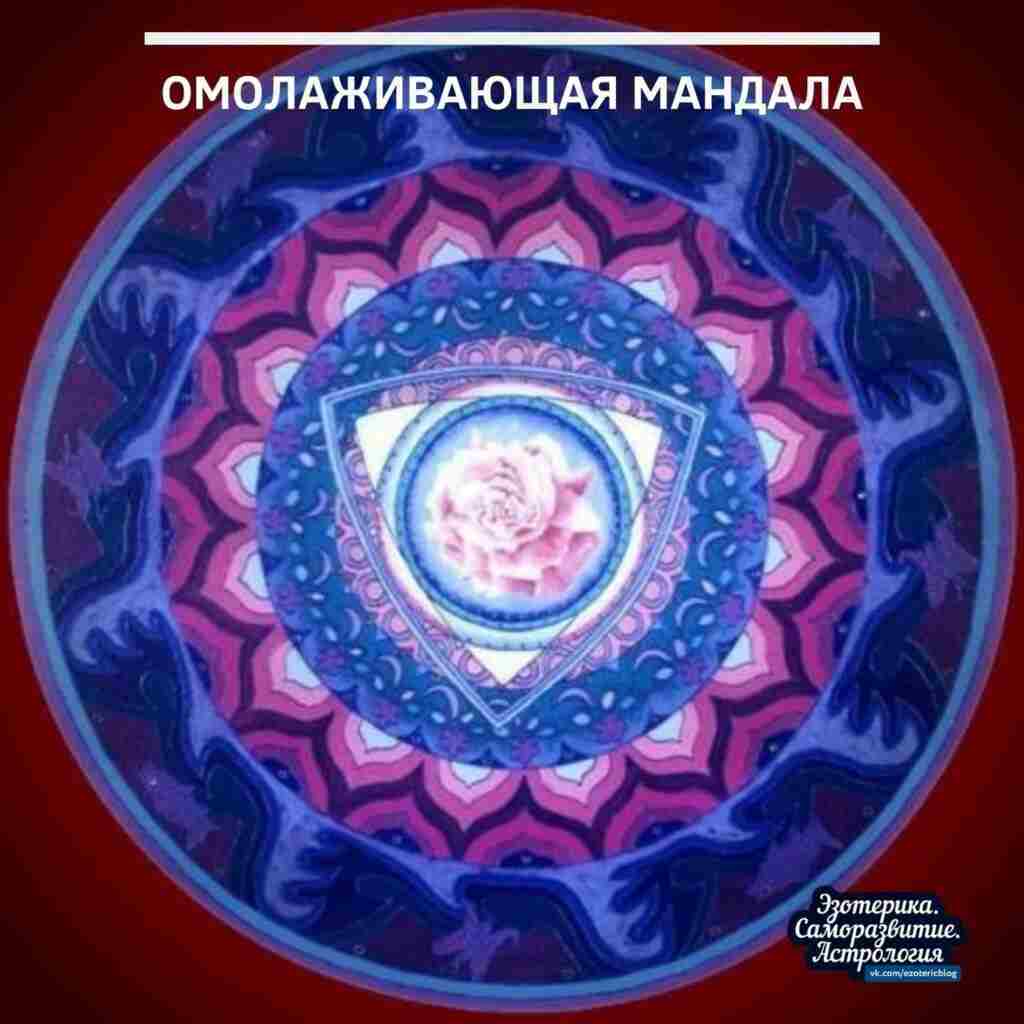 Омолаживающая мандала Мандала один из основных сакральных символов в буддийской философииСимволизирует сферу обитания божеств чистые8230
