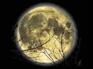 Ученые доказали: Луна влияет на состояние людей. Издревле люди замечали, что Луна, меняя свою…