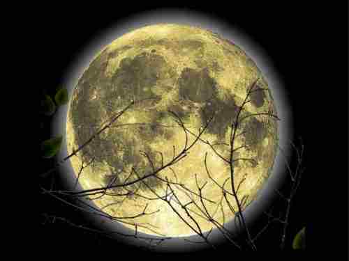 Ученые доказали Луна влияет на состояние людей Издревле люди замечали что Луна меняя свою8230