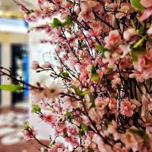 Весна в ГУМе Фото grifl56