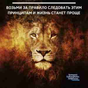 Возьми за правило следовать этим принципам и жизнь станет проще 1. Позвольте себе делать…