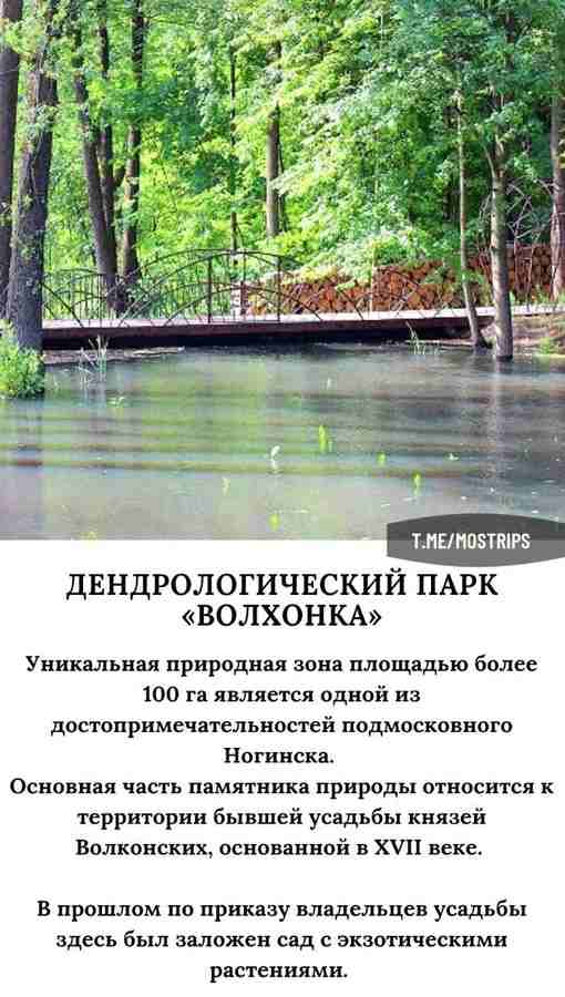 Особо охраняемые природные территории рядом с Москвой, где обязательно нужно побывать!