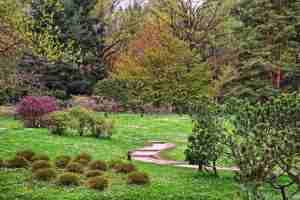 Японский сад в Ботаническом саду им. Н.В. Цицина Валерий Тихомиров