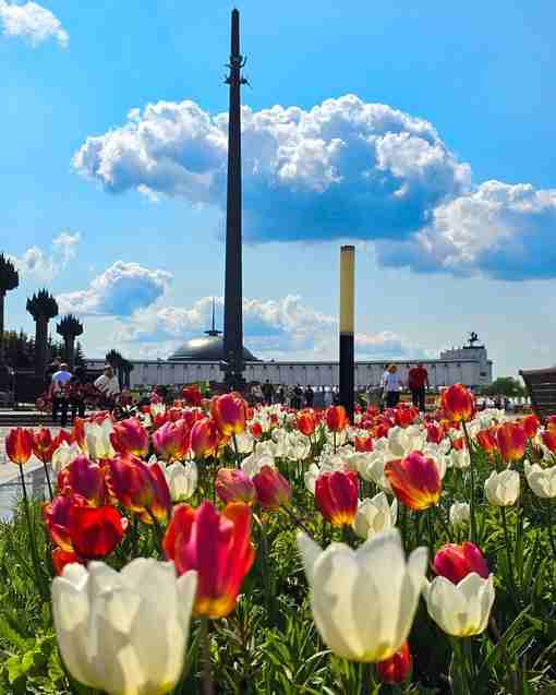 Весна в парке Победы на Поклонной горе Фото: nuta_ch