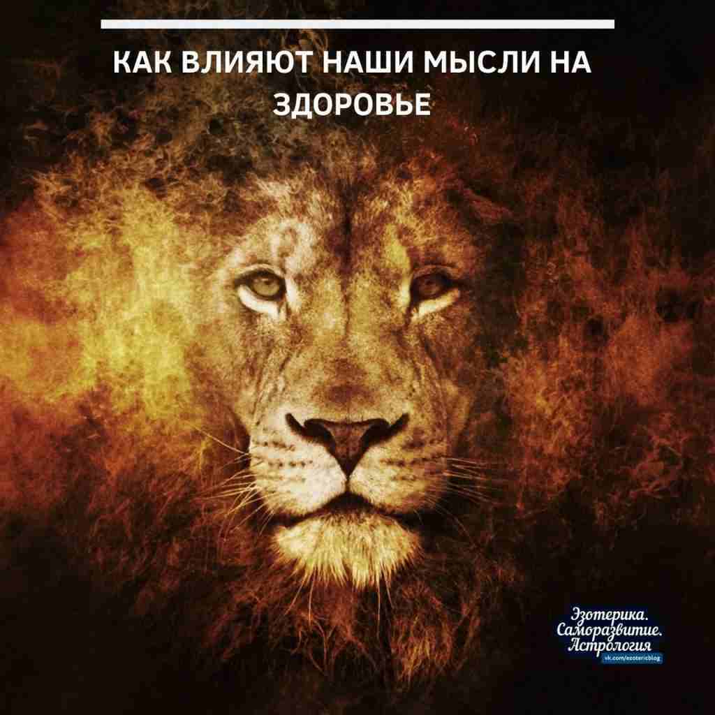 Как влияют ваши мысли на здоровье На Востоке говорят: «Худшие враги человека не пожелали…