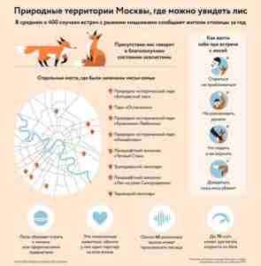 Природные террритори Москвы, где можно увидеть лис