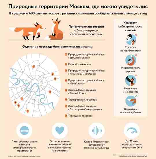 Природные террритори Москвы, где можно увидеть лис