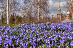 Прогулка по парку Зарядье. Фото: Валерий Тихомиров