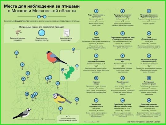Места для наблюдения за птицами в Москве и Московской области