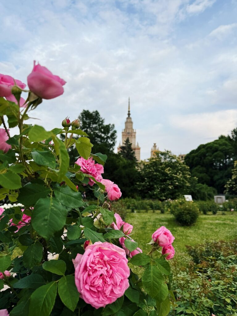 Ботанический сад МГУ на Воробьевых горах Фото: marussya_13