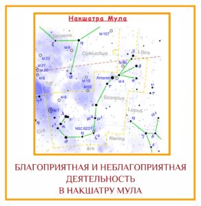 БЛАГОПРИЯТНАЯ И НЕБЛАГОПРИЯТНАЯ ДЕЯТЕЛЬНОСТЬ В НАКШАТРУ МУЛА Благоприятная деятельность: Если вы хотите докопаться до…