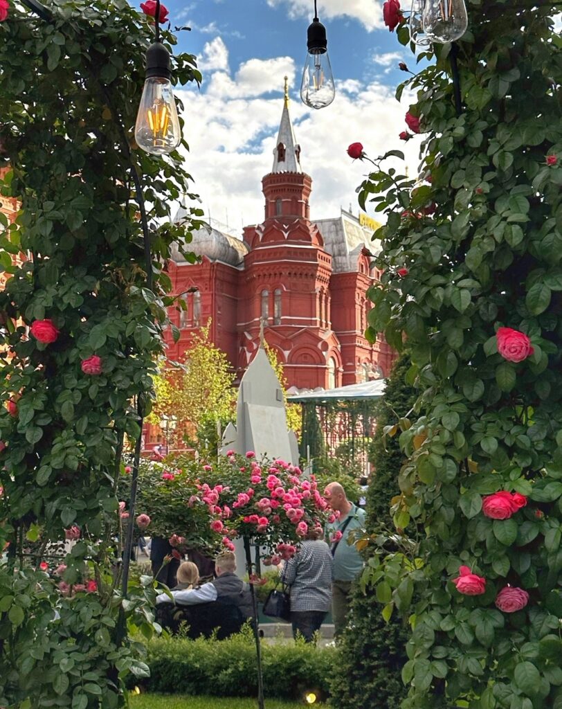 Доброе утро! Фото: kary_noss