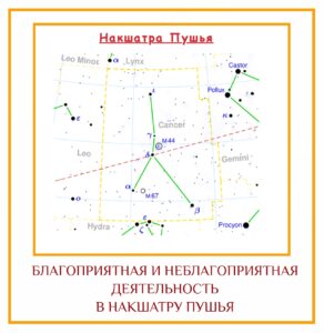 БЛАГОПРИЯТНАЯ И НЕБЛАГОПРИЯТНАЯ ДЕЯТЕЛЬНОСТЬ В НАКШАТРУ ПУШЬЯ Благоприятная деятельность Вечеринки, празднования, художественные или творческие…