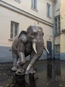 Во внутреннем дворике Музея Востока стоит фигура слона, который очень похож на живого. В…