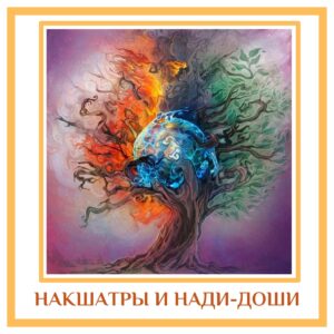 НАКШАТРЫ И НАДИ-ДОШИ Каждая накшатра имеет свой собственный нади или пульс. В этом случае…