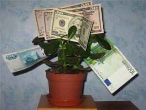 Народные приметы: 10 вещей, которые приносят в дом счастье. Счастье в доме зависит не…