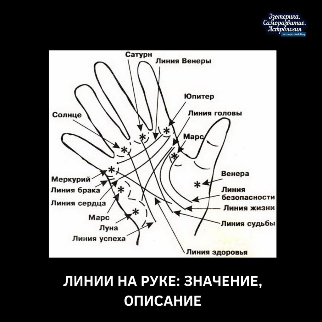 ЛИНИИ НА РУКЕ: ЗНАЧЕНИЕ, ОПИСАНИЕ Наукой хирологией, занимающейся как раз руками и линиями, которые…