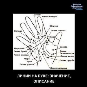 ЛИНИИ НА РУКЕ: ЗНАЧЕНИЕ, ОПИСАНИЕ Наукой хирологией, занимающейся как раз руками и линиями, которые…