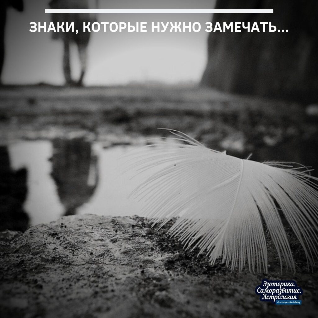 Знаки, которые нужно замечать… 1.Когда идете по улице и видите перо лежащее на земле,…