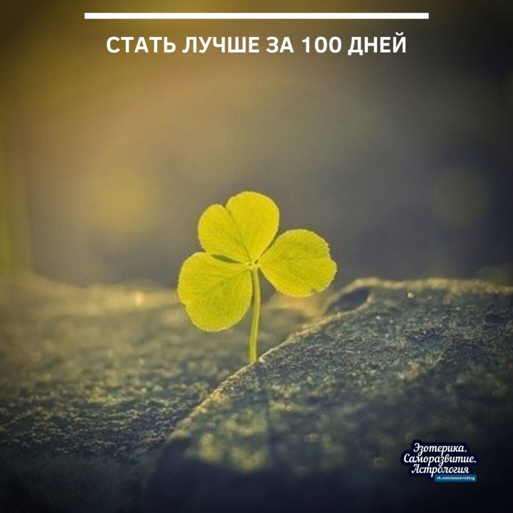 Стать лучше за 100 дней 1. Выберите сложную книгу, которую вы до сих пор…