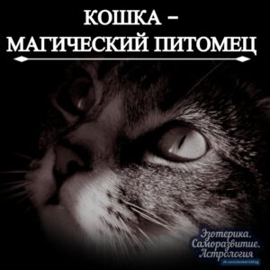 Многие не придают значения важности домашнего питомца. В особенности, это касается кошек, который обладают…