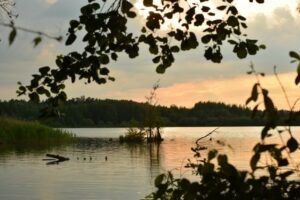Бисерово озеро Бисерово — памятник природы областного значения и самое близкое реликтовое озеро к…