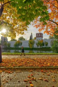 Золотая осень в парке Новодевичьи пруды. Фото: Юрий Дегтярев