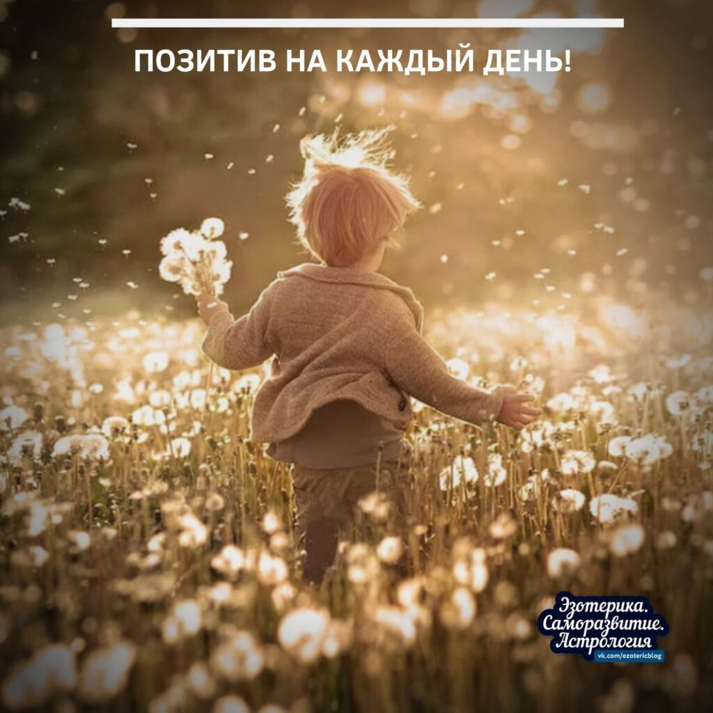 Позитив на каждый день! Я люблю и одобряю себя! У меня отличное здоровье! Я…