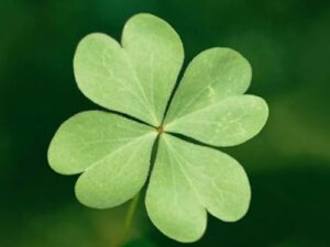 Простые способы привлечь удачу по Знаку Зодиака. Удача — это главное в нашей жизни….