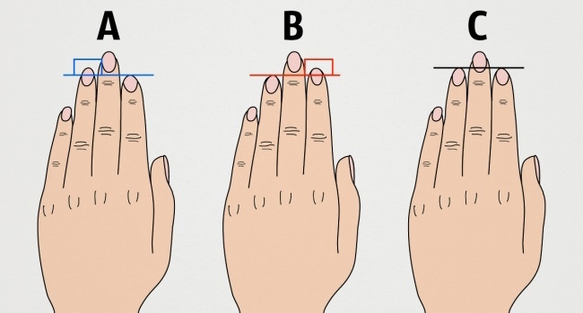 Тест на тип личности по длине пальцев рук.Этот